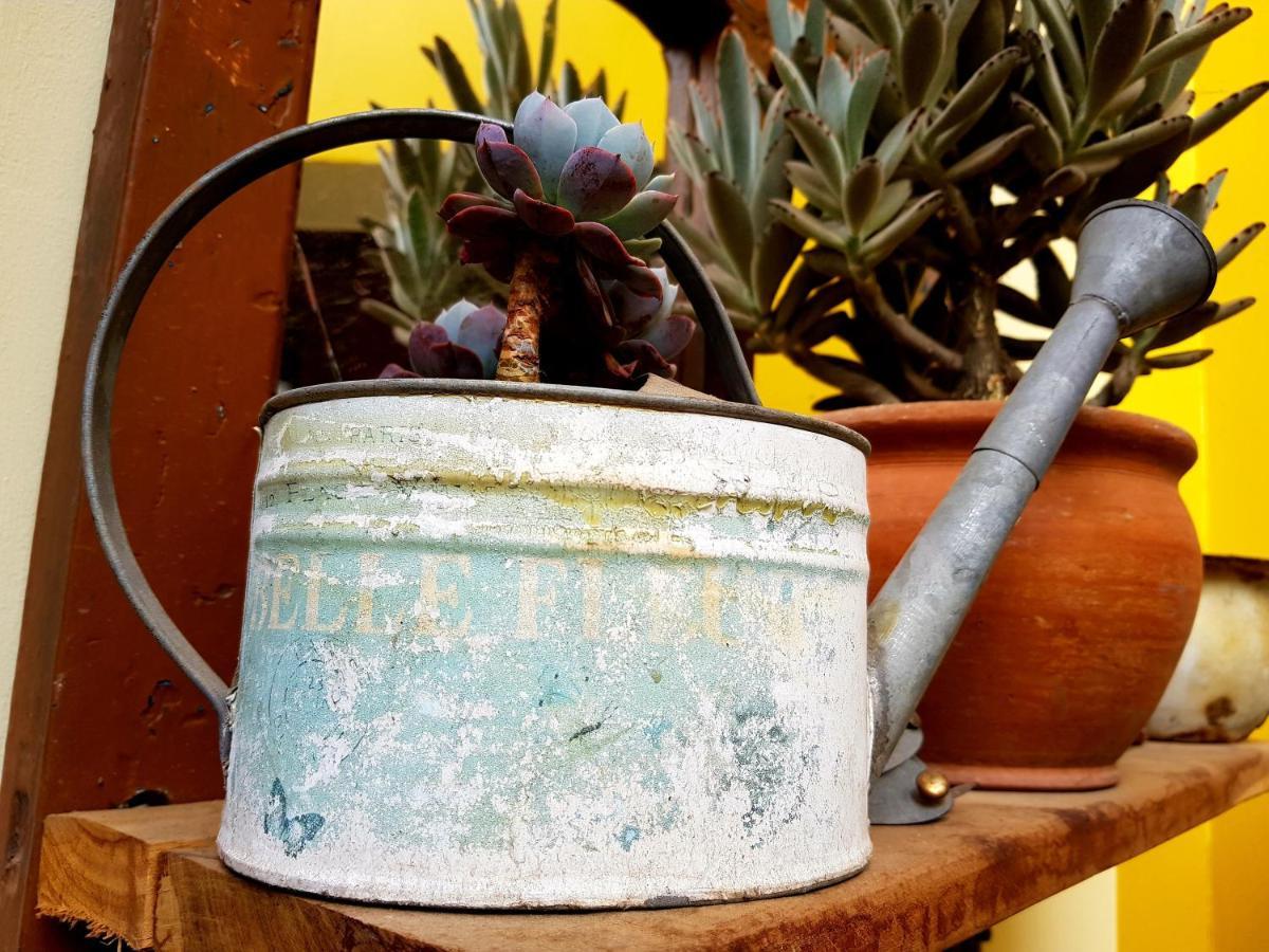 Old Town Quito Suites, Heritage Boutique Hotel, Where Every Detail Tells A Story Exterior photo